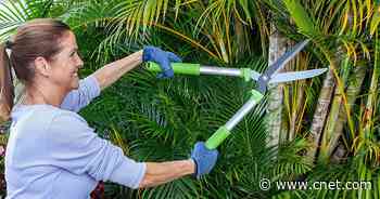 Save Up to 58% On Martha Stewart Gardening Tools During This 1-Day Sale     - CNET
