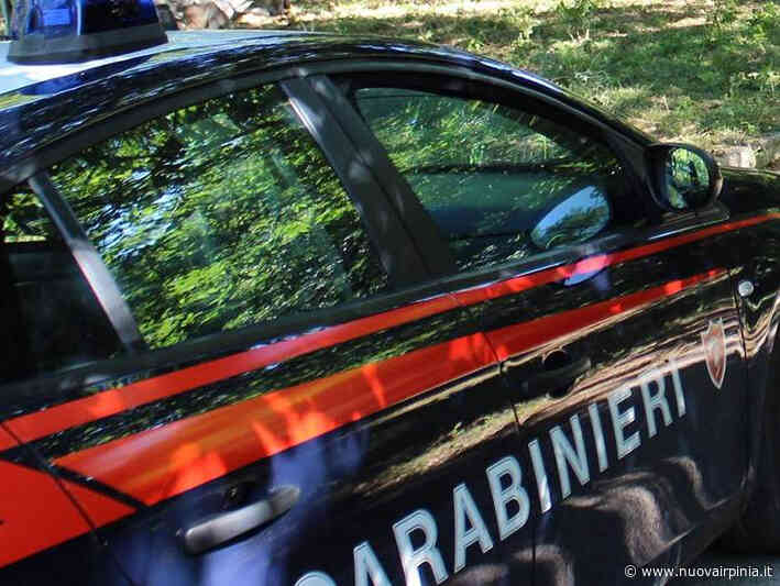 Roghi di rifiuti vegetali a Solofra, denunciate dai Carabinieri 4 persone - Nuova Irpinia - Nuova Irpinia