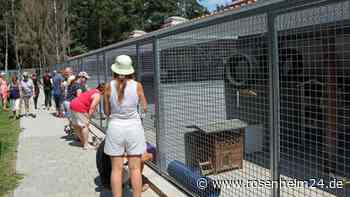 Tierfreunde erkundeten in Kolbermoor das neue Tierheim des Tierschutzvereins Rosenheim