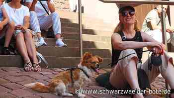 Musiksommer Altensteig: Am Ziel warten ein Flashmob und gekühlte Getränke