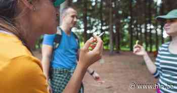 Rook- en vuurverbod in bossen en natuurgebieden | Oudenaarde | hln.be - Het Laatste Nieuws