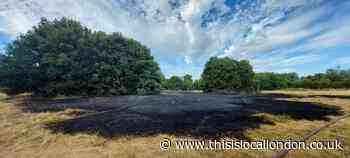 Morden Hill Park photos of disposable BBQ fire damage