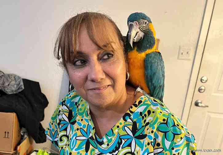 As renters suffer with no AC, Texas lawmaker pushes for state penalties