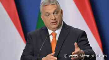 Le comité d'Auschwitz "horrifié": pourquoi les propos de Viktor Orban sur la "race" hongroise font-ils polémique?