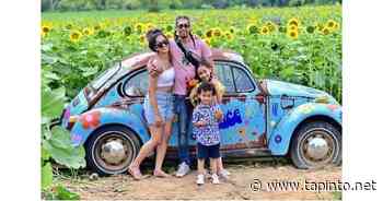 New Jersey Sunflower Trail Open for Summer Season - TAPinto.net