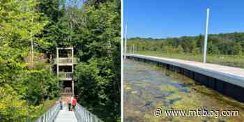 This New Wetlands Trail Just Outside Montreal Is High-key Gorgeous - MTL Blog