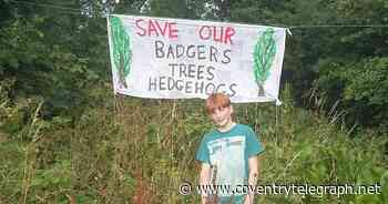 Fight on as deadline looms for 170 homes plan next to Coventry Sphinx Club - Coventry Live