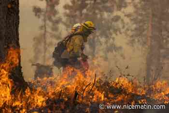 Inquiétude en Californie : un incendie explosif se propage à toute allure - Nice matin