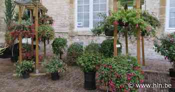 De Bellekens houden bloemenexpo in Sint-Bernardusabdij | Hemiksem | hln.be - Het Laatste Nieuws