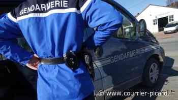 Villers-Bretonneux: gênée par son chien, elle percute un automobiliste sur l'A29 - Le Courrier picard