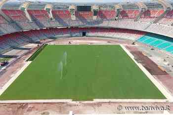 Stadio San Nicola, pronto il nuovo prato. E oggi la squadra torna ad allenarsi a Bari - BariViva