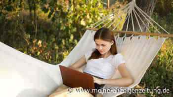 Aldi ruft Hängematte zurück: Sturzverletzungen sind möglich