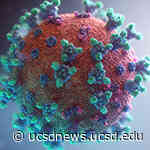 Coronavirus Jumped to Humans at Least Twice at Market in Wuhan, China - University of California San Diego