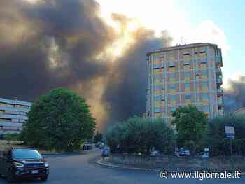 Incubo incendi a Roma: 180 interventi al giorno dei vigili del fuoco