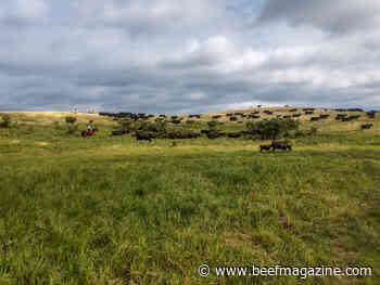 Two agencies working together to preserve working grasslands