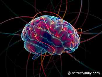 Diabetes and Heart Disease Can Double Your Risk of Dementia