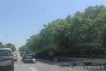 Incidente sulla Trani - Bisceglie, dinamica simile a quella che è costata la vita a Elisa - TraniViva