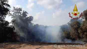 Incendi a Roma e provincia: 40 gli interventi, evacuata una casa