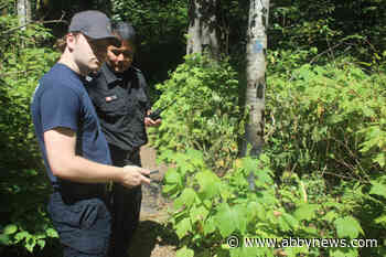 Attempted arson in woods near Fraser River Heritage Park in Mission - Abbotsford News