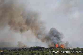 Un incendie parcourt 500 hectares dans l'Hérault, dans une France frappée par la sécheresse