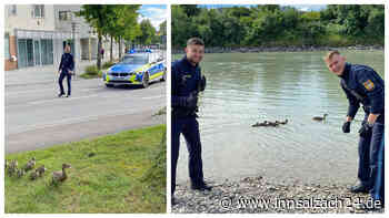 Ente gut, alles gut: Tierischer Einsatz für die Waldkraiburger Polizei