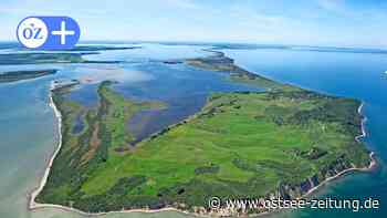 OZ-Kolumne aus Stralsund: Inselmagazin macht Lust auf Hiddensee - Ostsee Zeitung