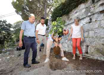 Ce restaurateur ajoute un euro sur l’addition pour financer un jardin nourricier à Nice