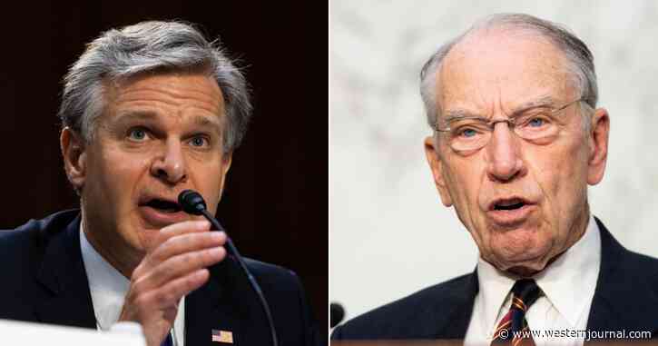 'Corrupted to Their Very Core': Top GOP Sen Goes Public with Damning Whistleblower Charges About FBI, Hunter Biden