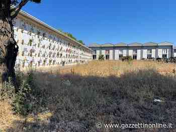 Cimitero di Giarre nel degrado, assediato da sterpaglie e rovi. A rilento la messa in sicurezza di una cappella - Gazzettinonline