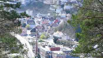 Problem Grundsteuererklärung - In Oberndorf, Sulz und Dornhan fehlen die Bodenrichtwerte - Schwarzwälder Bote