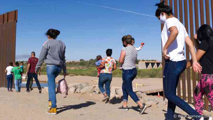 ICE developing program to give ID cards to illegal immigrants, as border crisis rages