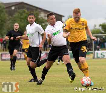Dynamo Dresden: Yannick Stark und Paul Will zurück im Mannschaftstraining - Liga 3 News