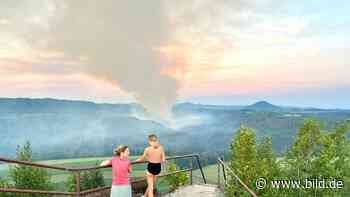 Waldbrand in Sachsen: Warum zieht der Rauch immer nach Dresden? - BILD