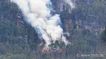 Starker Brandgeruch in Dresden durch Waldbrand: Keine Gefahr für Bevölkerung - MDR