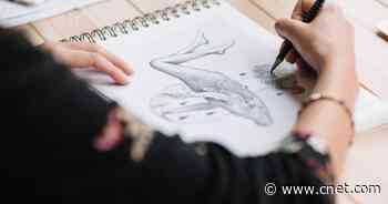Dust Off Your Art Skills With These Online Drawing Classes     - CNET