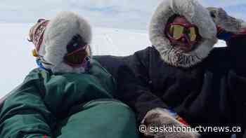 University of Sask. researchers uncover details of dogs' lives throughout time