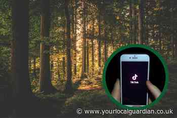 TikTok Forest Question test: What is TikTok's latest relationship based quiz