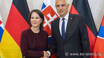 Panzerringtausch mit Tschechien offenbar vor Abschluss