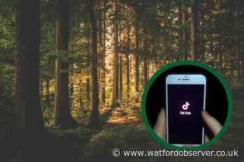 TikTok Forest Question test: What is TikTok's latest relationship based quiz