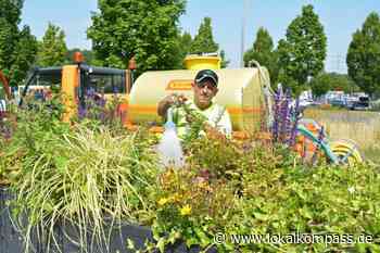 Junge Bäume in Marl haben in der heißen Sommerzeit Durst - Marl - www.lokalkompass.de