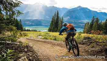 Alberta man sues Revelstoke Mountain Resort for injuries - Squamish Chief