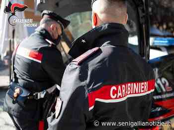 I Carabinieri ritrovano una bicicletta rubata, denunciato un 19enne senigalliese - Senigallia Notizie