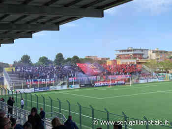Calcio: la Vigor Senigallia riparte, per la prima volta dopo 18 anni in serie D - Senigallia Notizie