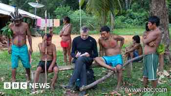 Eight suspects linked to Dom Phillips and Bruno Pereira deaths - BBC