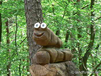 Mit dem Odenwaldklub Bruchsal am 30.07. in die Pfalz - Landfunker