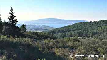 Frontignan : le massif de Gardiole interdit d'accès en cas de risque incendie - Midi Libre