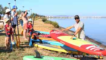 Frontignan : balade en stand up paddle sur les eaux calmes de l'étang d'Ingril - Midi Libre