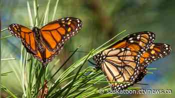 You can help scientists by exploring your back yard with a smartphone