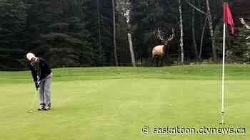 This 'magical' Sask. golf course just made an elite national list
