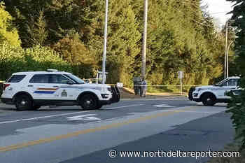 Senior receives seven-year sentence for South Surrey shooting - North Delta Reporter